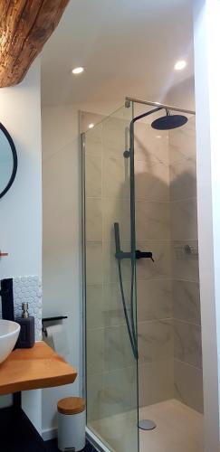 une douche en verre dans une salle de bain avec un lavabo dans l'établissement Studio Méditerranéenne, à Montpellier