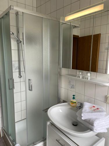 een badkamer met een wastafel en een douche met een spiegel bij das alte Wasserwerk in Bad Bentheim