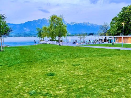 a park with a lake and mountains in the background at Schöne Ferienwohnung mit Seeblick in Thun
