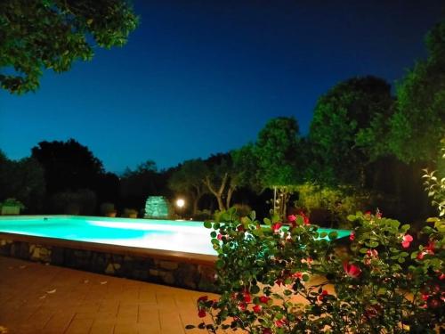 a swimming pool in a garden at night at Casale Eredità in Orte