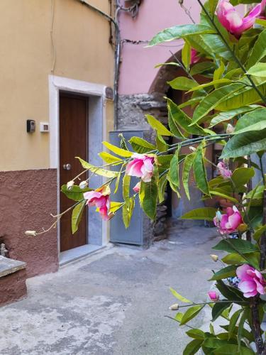 uma porta para um edifício com flores cor-de-rosa em frente em L' Onda di Manarola em Manarola