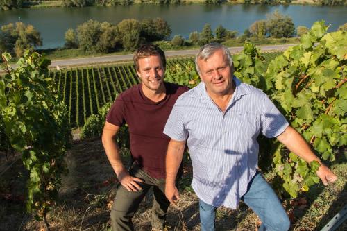two men are standing in a vineyard with grapes at Gästehaus Moselkloster in Trittenheim