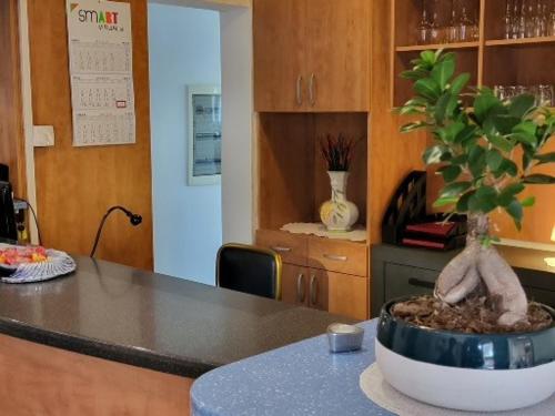 Gallery image of Bed and Breakfast La Rossa in Umag