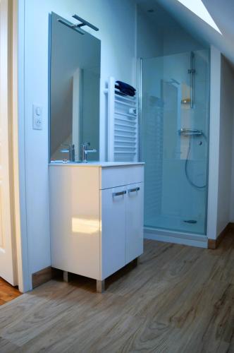 une salle de bain avec un lavabo et une douche dans l'établissement Maison typique - Très grand jardin - 7km de la mer, à Fontaine-Henry