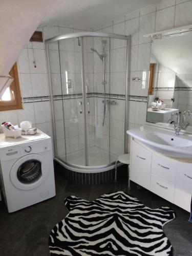 a bathroom with a shower and a sink and a washing machine at Ferienwohnung Französch in Arnoldstein