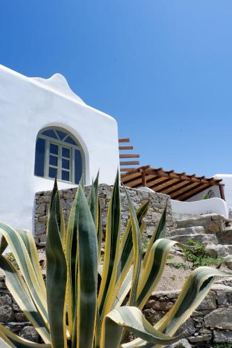 Mykonos Traditional Home Tavros