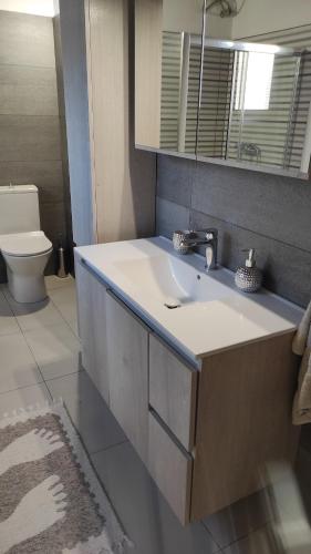 een badkamer met een wastafel en een toilet bij ERMONES LITTLE HOUSE in Vátos