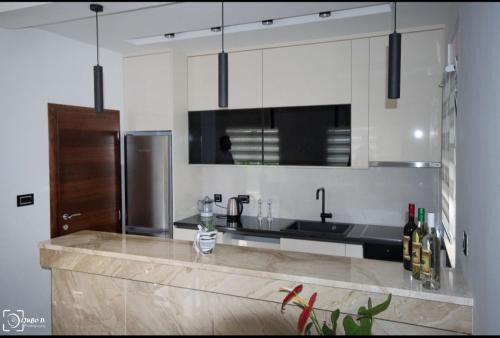 uma cozinha com um balcão com um lavatório e um frigorífico em Apartmani Aleksic em Trebinje