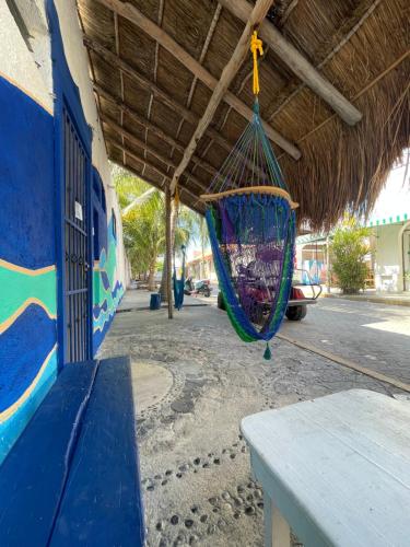 a hammock hanging from a roof in a building at Itzé Hostel in Isla Mujeres