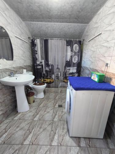a bathroom with a sink and a toilet and a shower at Above the Clouds in Tusheti