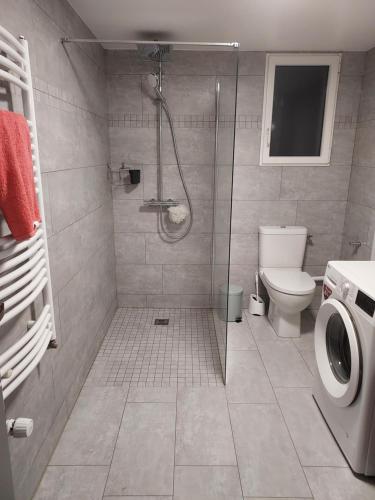 ein Bad mit einer Dusche und einem WC in der Unterkunft Appartement bleu in Saintry-sur-Seine
