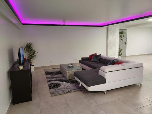 ein Wohnzimmer mit einem Sofa und einem TV in der Unterkunft Appartement bleu in Saintry-sur-Seine