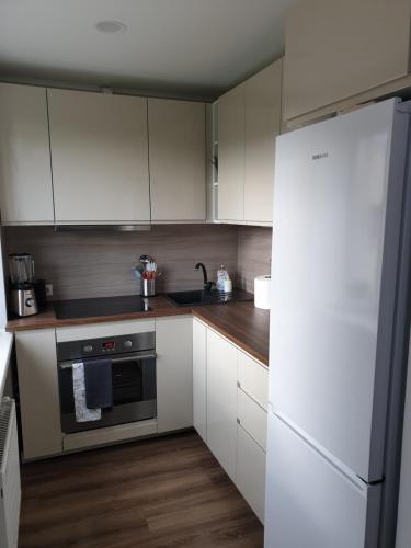 Liedaga apartamenti 주방 또는 간이 주방