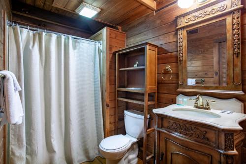 une salle de bain avec toilettes, lavabo et douche dans l'établissement The Vision Mtn View Hot Tub Wood Fireplace, à Sevierville