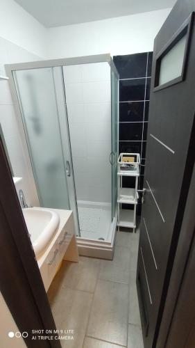 a bathroom with a shower and a sink and a toilet at Apartmani Gavran in Pirovac