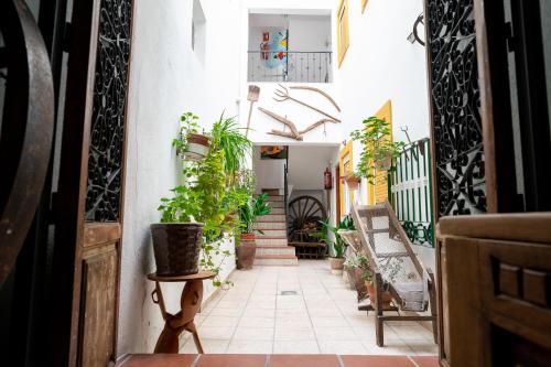 a hallway with plants and stairs in a building at APAR. SIERRAGUADALQUIVIR in Quesada