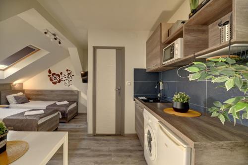 Kuchyňa alebo kuchynka v ubytovaní Familia Panzió & Apartmanház Győr