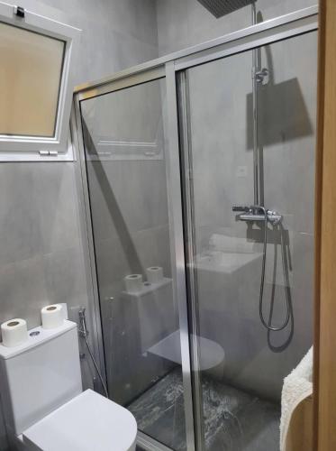 a bathroom with a shower with a toilet and a sink at ENZO APARTAMENTO T0 in Espargos