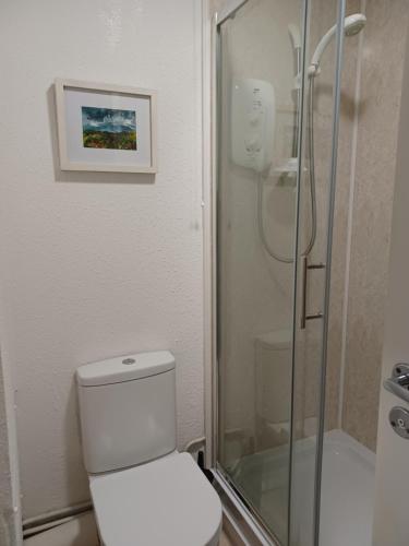 a bathroom with a toilet and a glass shower at Two bedroom apartment close to the beach in Beer