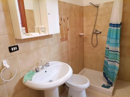 La salle de bains est pourvue d'un lavabo, de toilettes et d'une douche. dans l'établissement Casa vacanze zaccanopoli, à Zaccanopoli