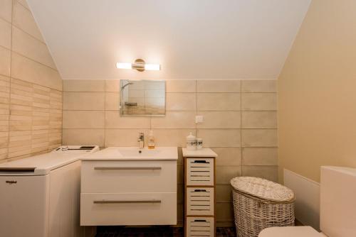 a small bathroom with a sink and a mirror at Karjamaa Apartment with Garden in Pärnu
