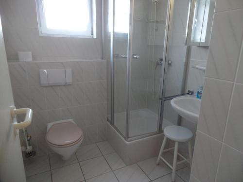 ein Bad mit einer Dusche, einem WC und einem Waschbecken in der Unterkunft Objekte im Umland Neuklosterhof App 10 in Pelzerhaken