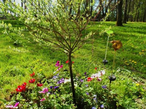 a garden with flowers and a tree in the grass at Gîte spacieux, confort moderne, nature et tranquillité près de Tours et des châteaux de la Loire - FR-1-381-273 in Le Boulay