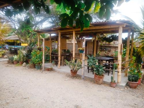 a store with potted plants in front of it at Guacamayo Rooms & Bungalows in Máncora