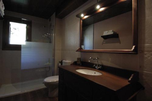 a bathroom with a sink and a toilet and a mirror at Hotel Rural El Portón de Murillo in Broto