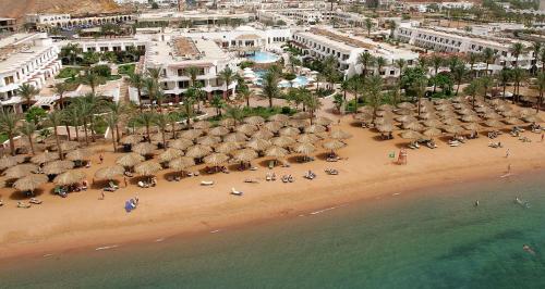 JAZ Elite Palace - Adults Friendly 16 Years Plus — Beach