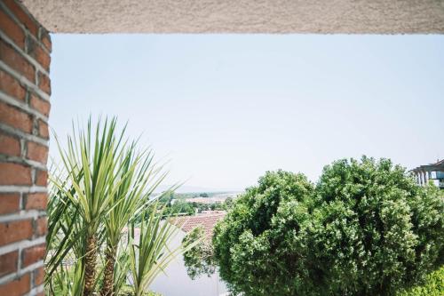 Gallery image of Bivalvia Apartments in Ulcinj