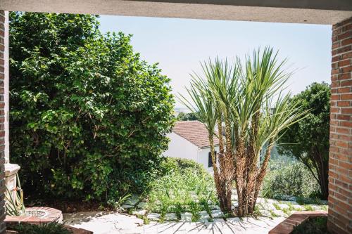Gallery image of Bivalvia Apartments in Ulcinj