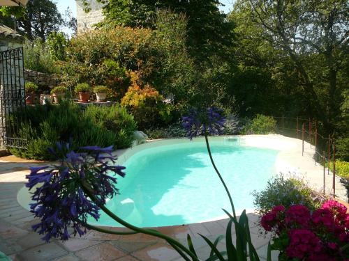 a swimming pool in a garden with purple flowers at Gites Loste in Beauville