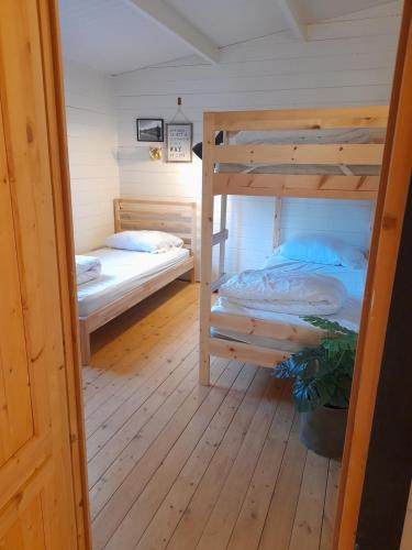 two bunk beds in a room with wooden floors at 5 persoons chalet met gezellige houtkachel nabij Wildlands Emmen in Schoonebeek