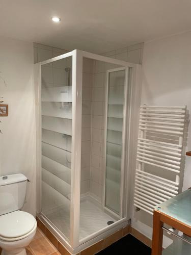 a bathroom with a toilet and a walk in shower at Les Gîtes de l'aiguete in Hauterives