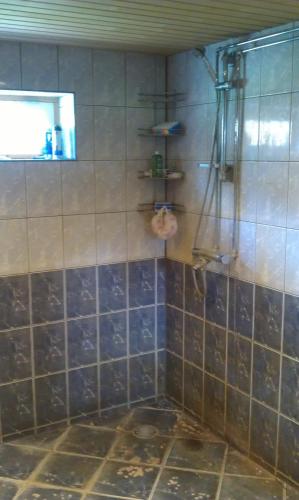 a bathroom with a shower with blue tiles at Aratsaare Holiday home in Kõpu