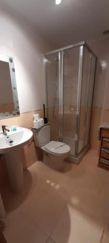 a bathroom with a toilet and a shower and a sink at Casa Melitona in Castiello de Jaca