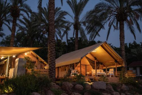 a tent in front of palm trees at night at Sky Glamping boutique in Moshav Ramot