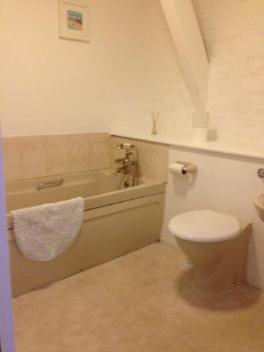 伯福德的住宿－皇家橡樹伯福德酒店，带浴缸、卫生间和盥洗盆的浴室
