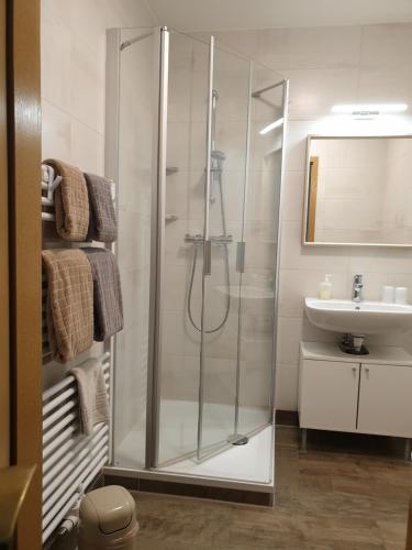 a bathroom with a shower and a sink at Pension Rotsteinblick in Sohland am Rotstein