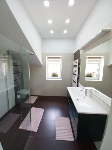 a bathroom with a sink and a shower at Domki Cztery Pory Roku in Czchów