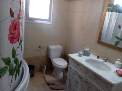 uma casa de banho com um WC, um lavatório e um espelho. em Μονοκατοικία στην Σύρος em Hermópolis