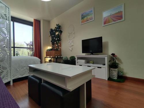 sala de estar con cama y TV en Madrid AlcoTour Apto trabajo y relax, en Alcobendas