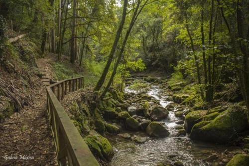 a stream in a forest with a bridge and rocks at Casa Las Piedras in Padrenda