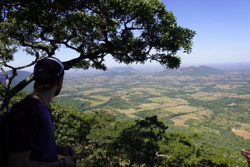 a man standing on top of a tree looking at a valley at Tiko Community Centre in Saint Francis