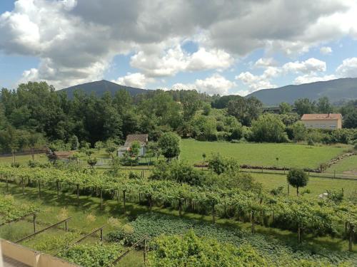 a field of crops with mountains in the background at A PONTE in Padrón