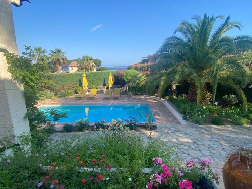 - une piscine dans un jardin fleuri dans l'établissement Villa la Margeride, à Sainte-Maxime
