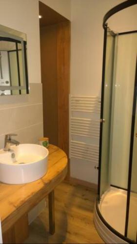 une salle de bain avec un lavabo et une douche en verre dans l'établissement Le clos des maraîchers, à Sainte-Savine