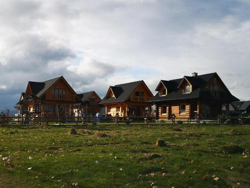 a group of wooden houses in a field at DOMEK POD LIMBAMI V in Kluszkowce