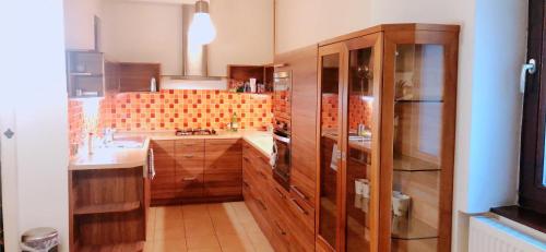 eine Küche mit Holzschränken und einem Waschbecken in der Unterkunft W&M Stylish Apartment in Budapest